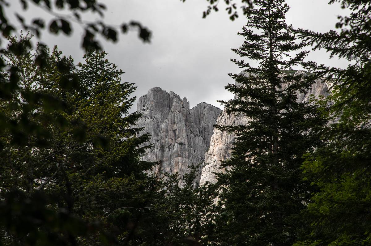 Dragišnica i Komarnica