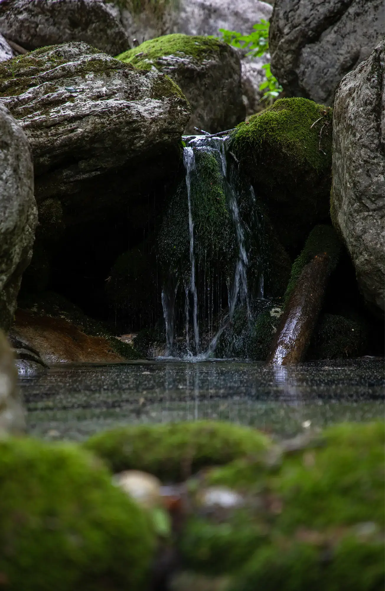 Dragišnica i Komarnica